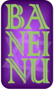 Baneinu-logo-even-smaller-e1700966197277