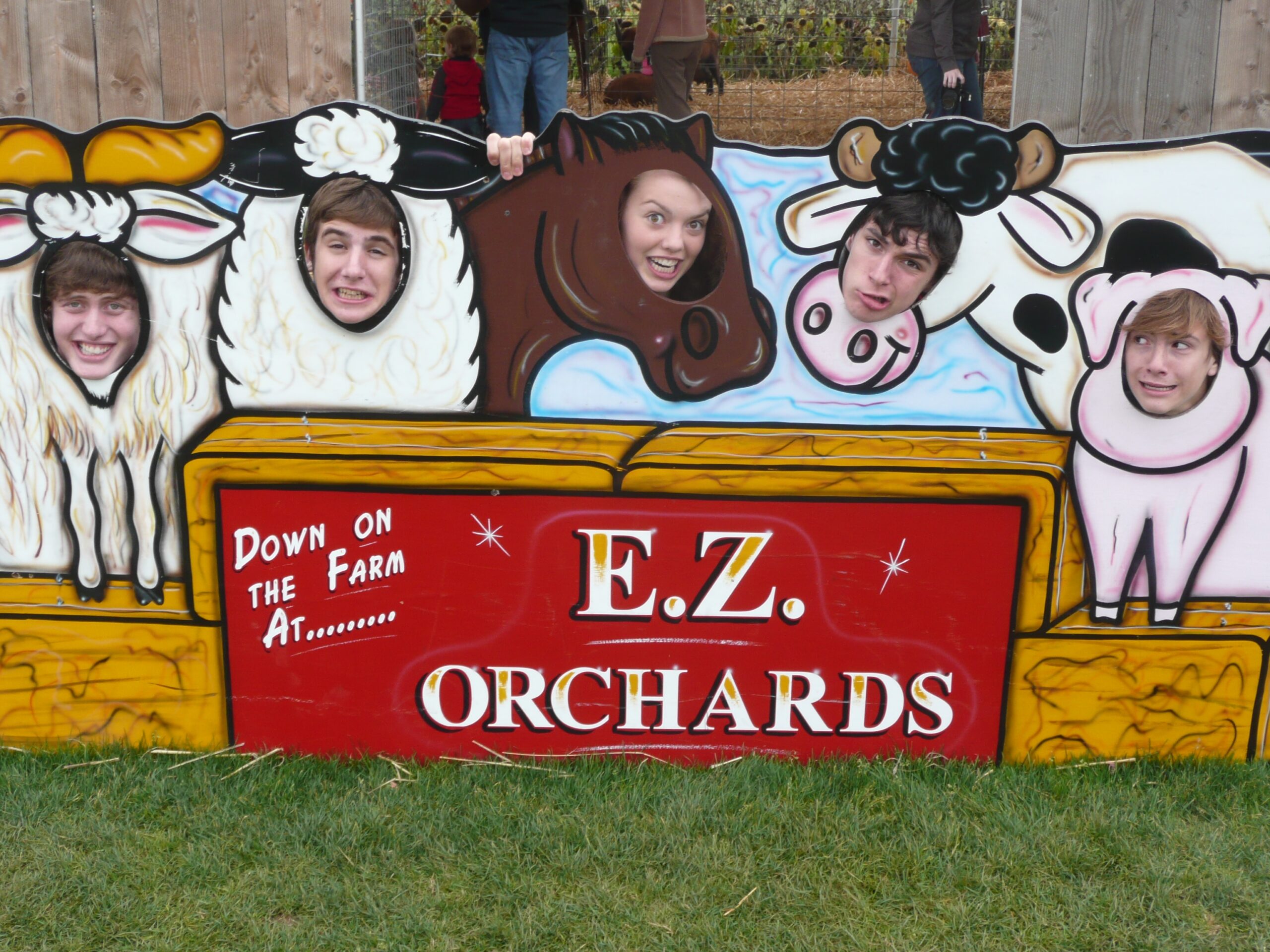 Jew Crew putting their faces through animal cut outs at E.Z. Orchards