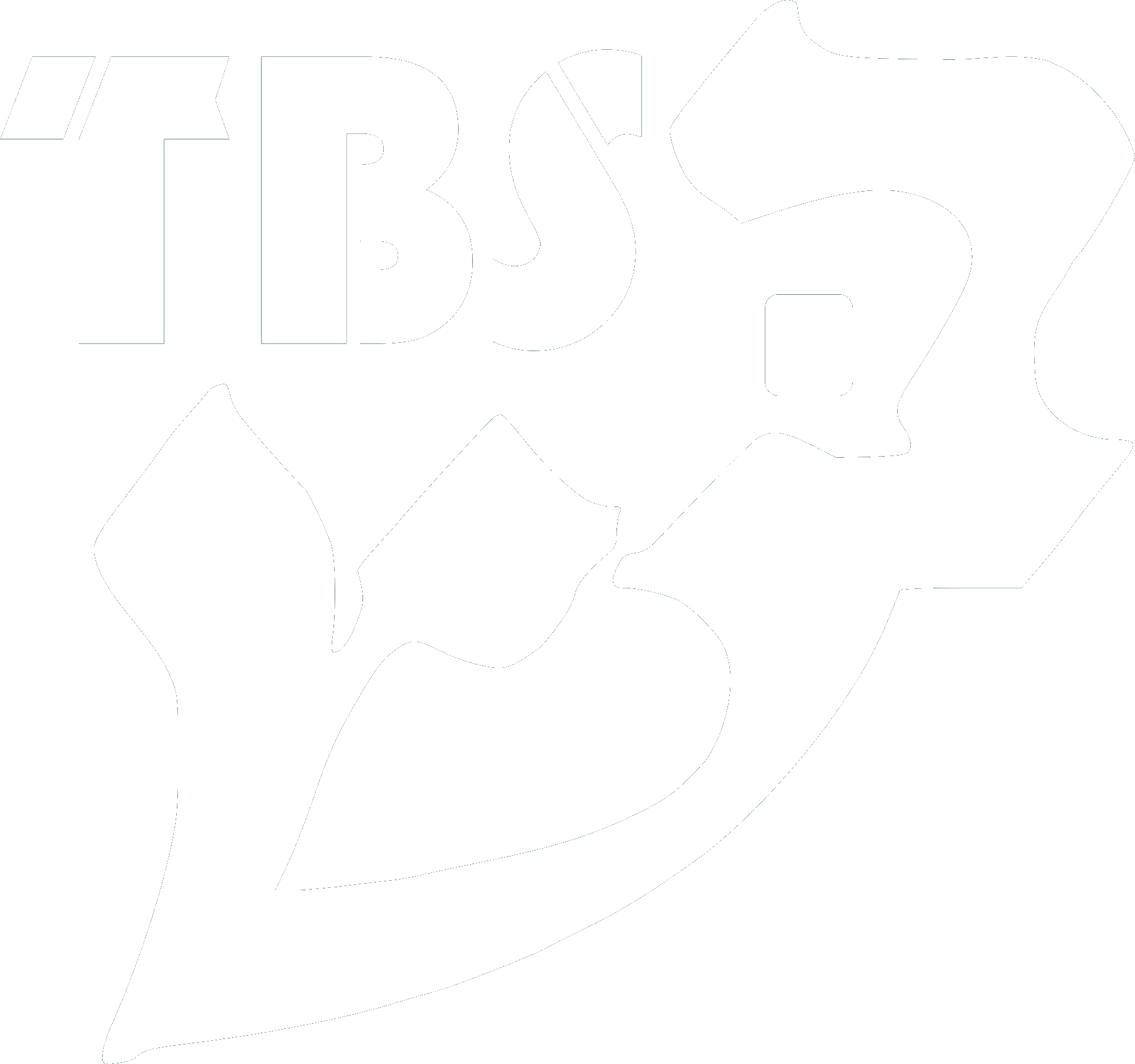TBS logo in white